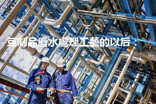 豆制品廢水處理工藝的以后：挑戰(zhàn)與突破？
